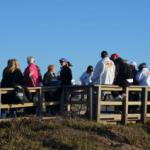 Cambria_0193 (November 03, 2012)